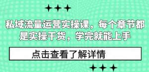 私域流量运营实操课，每个章节都是实操干货，学完就能上手-梦想波浪