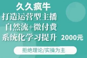 久久疯牛·自然流+微付费(12月23更新)打造运营型主播,包11月+12月-梦想波浪