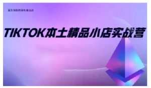 TikTok本土精品小店出海实战营，从入门到高阶，不止0-1!-梦想波浪