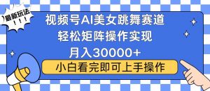 视频号蓝海赛道玩法，当天起号，拉爆流量收益，小白也能轻松月入30000+-梦想波浪