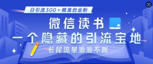 微信读书,一个隐藏的引流宝地,不为人知的小众打法,日引流300+精准创业粉,长尾流量源源不断-梦想波浪