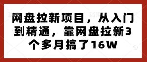 网盘拉新项目,从入门到精通,靠网盘拉新3个多月搞了16W-梦想波浪