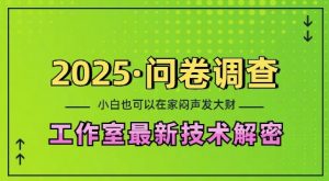 2025问卷调查最新工作室技术解密:一个人在家也可以闷声发大财,小白一天2张,可矩阵放大【揭秘】-梦想波浪