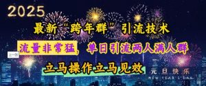 最新“跨年群”引流,流量非常猛,单日引流两人满人群,立马操作立马见效【揭秘】-梦想波浪