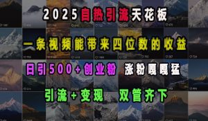 2025自热引流天花板，一条视频能带来四位数的收益，引流+变现双管齐下，日引500+创业粉，涨粉嘎嘎猛-梦想波浪