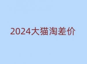 2024版大猫淘差价课程，新手也能学的无货源电商课程-梦想波浪