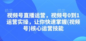 视频号直播运营,视频号0到1运营实操,让你快速掌握(视频号)核心运营技能-梦想波浪