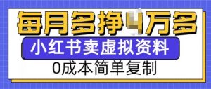 小红书虚拟资料项目,0成本简单复制,每个月多挣1W【揭秘】-梦想波浪