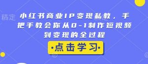 小红书商业IP变现私教，手把手教会你从0-1制作短视频到变现的全过程-梦想波浪