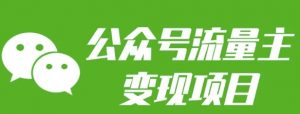 公众号流量主变现项目:每天2小时,普通人每月多挣三五千-梦想波浪