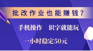 批改作业也能赚钱？0门槛手机项目，识字就能玩！一小时50元！-梦想波浪