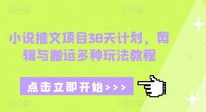 小说推文项目38天计划，剪辑与搬运多种玩法教程-梦想波浪