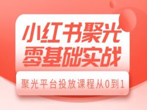 小红书聚光零基础实战，聚光平台投放课程从0到1-梦想波浪