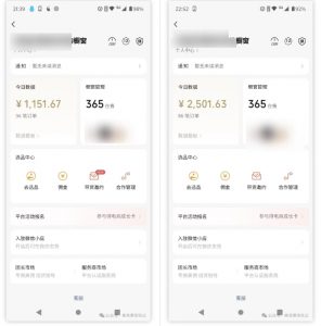 2025视频号蓝海超级暴利自动爆单术1.0 ，小白褔音 简单剪辑 不直播 不挂车-梦想波浪