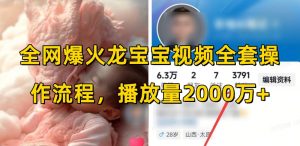 全网爆火龙宝宝视频全套操作流程,播放量2000万+-梦想波浪
