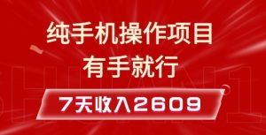 纯手机操作的小项目，有手就能做，7天收入2609+实操教程【揭秘】-梦想波浪