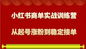 小红书商单实战训练营,从0到1教你如何变现,从起号涨粉到稳定接单,适合新手-梦想波浪