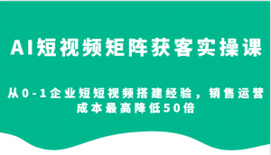 AI短视频矩阵获客实操课,从0-1企业短短视频搭建经验,销售运营成本最高降低50倍-梦想波浪