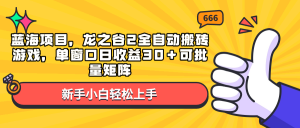 蓝海项目，龙之谷2全自动搬砖游戏，单窗口日收益30＋可批量矩阵-梦想波浪