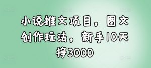 小说推文项目，图文创作玩法，新手10天挣3000-梦想波浪