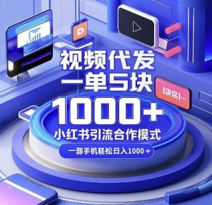 视频代发，一单5块，小红书引流合作模式，一部手机轻松日入多张【揭秘】-梦想波浪