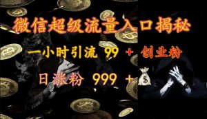 微信超级流量入口揭秘:一小时引流 99 + 创业粉,日涨粉 999 +-梦想波浪
