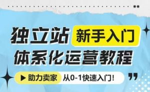 独立站新手入门体系化运营教程,助力独立站卖家从0-1快速入门!-梦想波浪