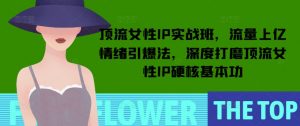 顶流女性IP实战班,流量上亿情绪引爆法,深度打磨顶流女性IP硬核基本功-梦想波浪