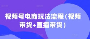 视频号电商玩法流程,视频带货+直播带货【更新2025年1月】-梦想波浪