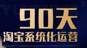 90天淘宝系统化运营,从入门到精通-梦想波浪