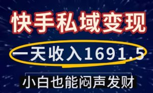 一天收入1691.5,快手私域变现,小白也能闷声发财-梦想波浪