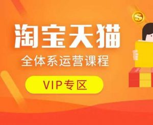 淘宝天猫全体系运营课程：店铺全系运营、动销玩法、付费推广、流量提升、擦边球玩法等等-梦想波浪
