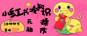 小红书冷知识账号,无脑复制粘贴,5分钟即可变现3张-梦想波浪