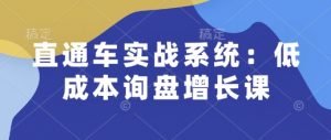 直通车实战系统:低成本询盘增长课,让个人通过技能实现升职加薪,让企业低成本获客,订单源源不断-梦想波浪