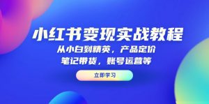 小红书变现实战教程:从小白到精英,产品定价,笔记带货,账号运营等-梦想波浪