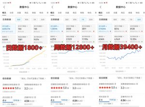 拼多多虚拟店铺项目，电脑挂机自动发货，单店日利润300+-梦想波浪