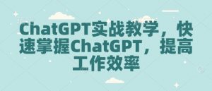ChatGPT实战教学,快速掌握ChatGPT,提高工作效率-梦想波浪