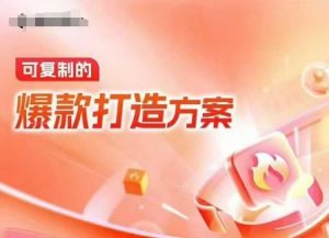 天猫电商爆款运营,可复制的爆款打造方案(线下内训课录音+字幕)-梦想波浪