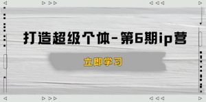 打造 超级个体-第6期ip营：商业认知,产品设计,成交演练,解决知识变现难题-梦想波浪