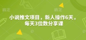 小说推文项目，新人操作6天，每天3位数分享课-梦想波浪
