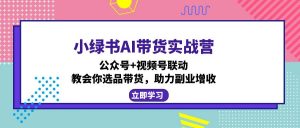小绿书AI带货实战营:公众号+视频号联动,教会你选品带货,助力副业增收-梦想波浪