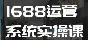 1688高阶运营系统实操课,快速掌握1688店铺运营的核心玩法-梦想波浪
