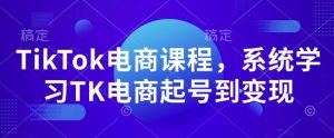 TikTok电商课程，​系统学习TK电商起号到变现-梦想波浪