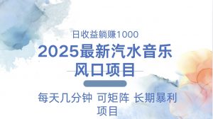2025最新汽水音乐躺赚项目 每天几分钟 日入1000＋-梦想波浪