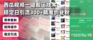 西瓜视频一键搬运技术,稳定日引流300+精准创业粉,简单可复制给团队,…-梦想波浪