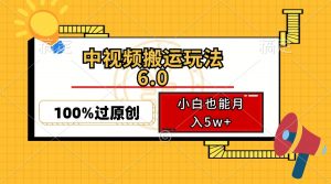 中视频搬运玩法6.0，利用软件双重去重，100%过原创，小白也能月入5w+-梦想波浪