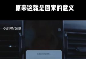 利用春节风口，制作热点视频，多种玩法类型，新手也能轻松变现！-梦想波浪