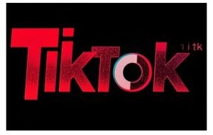TikTok ads投流秘籍,涵盖tiktok整体投放思路,教你搭建测试计划-梦想波浪