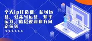 个人ip打造课，私域运营，公众号运营，知乎运营，底层逻辑和方向定位等-梦想波浪