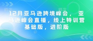 12月亚马逊跨境峰会, 亚马逊峰会直播,线上特训营基础版,进阶版-梦想波浪